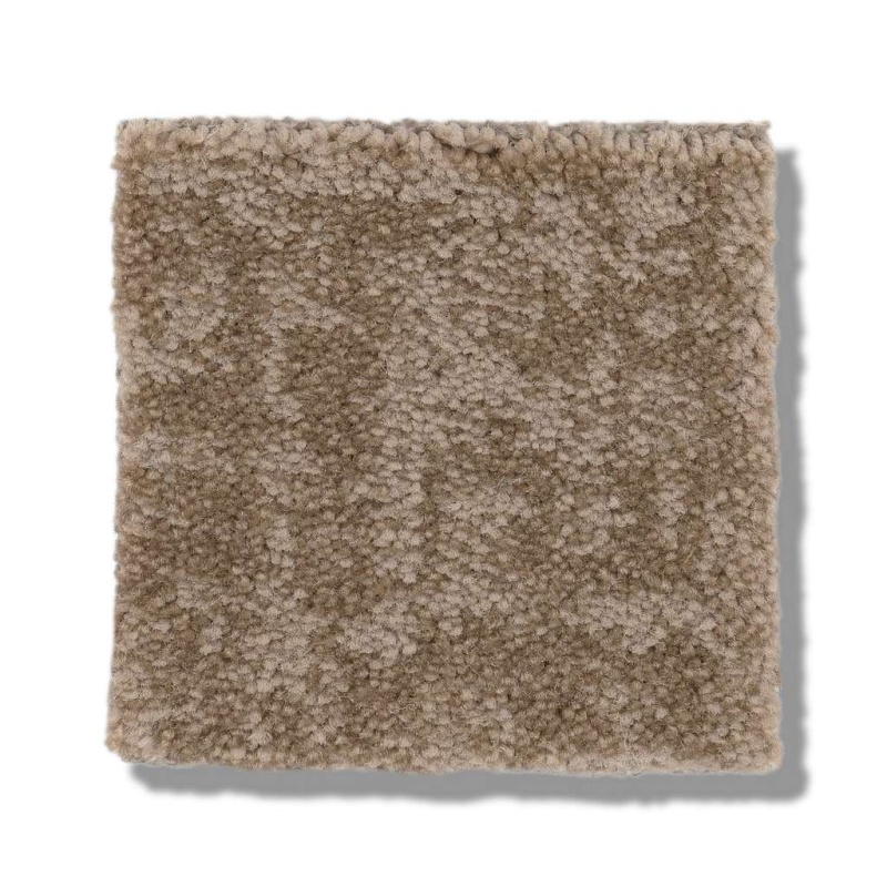Caress By Shaw Fine Structure Tumbleweed Nylon Carpet - Pattern