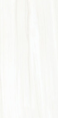 Meltone Blanco Porcelain Tile - Polished - 24" x 48"