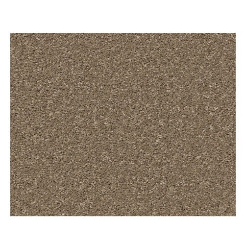 Smooth Talk II Cedar Key Textured Polyester Carpet