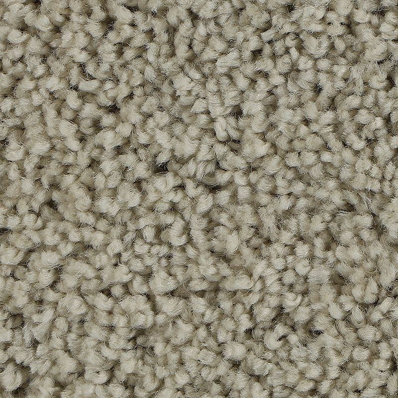 Soft Outlook Dovetail Polyester Carpet - Textured