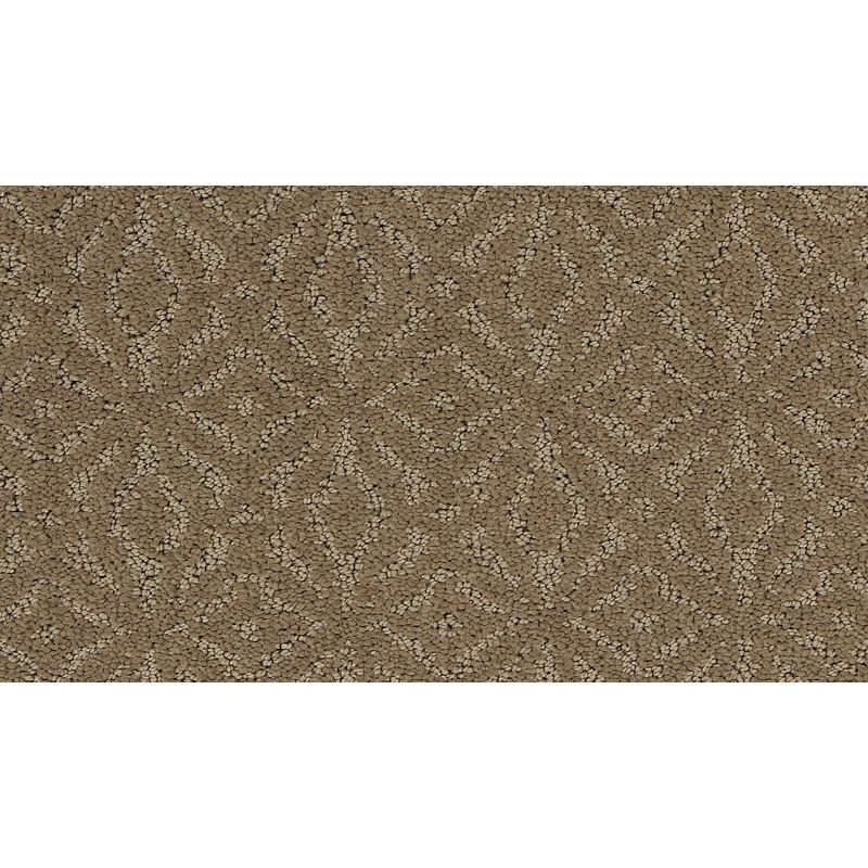 Exquisite Charm Clay Trail Triexta Carpet - Pattern