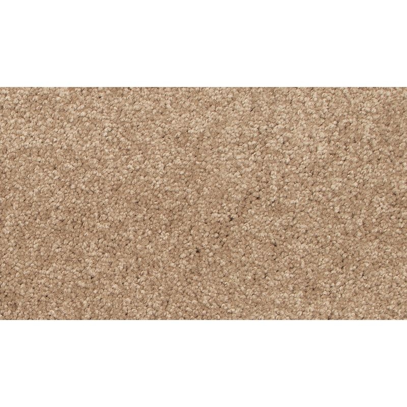 Tender Moment Ii Deer Valley Triexta Carpet - Textured