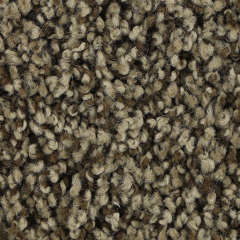 Soft Aspect November Foliage Polyester Carpet - Textured