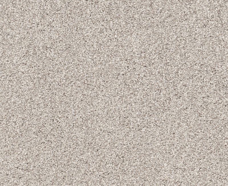 Simple Life Horizon Nylon Carpet - Textured