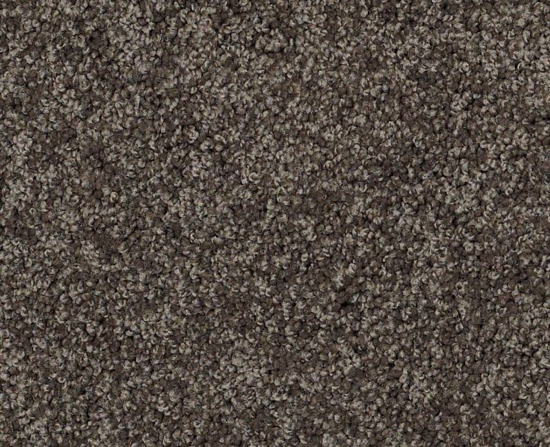 Detailed Elegance I Chocolate Nylon Carpet - Loop