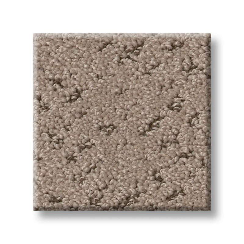 Pet Perfect Favoured Path Cameo Polyester Carpet - Pattern