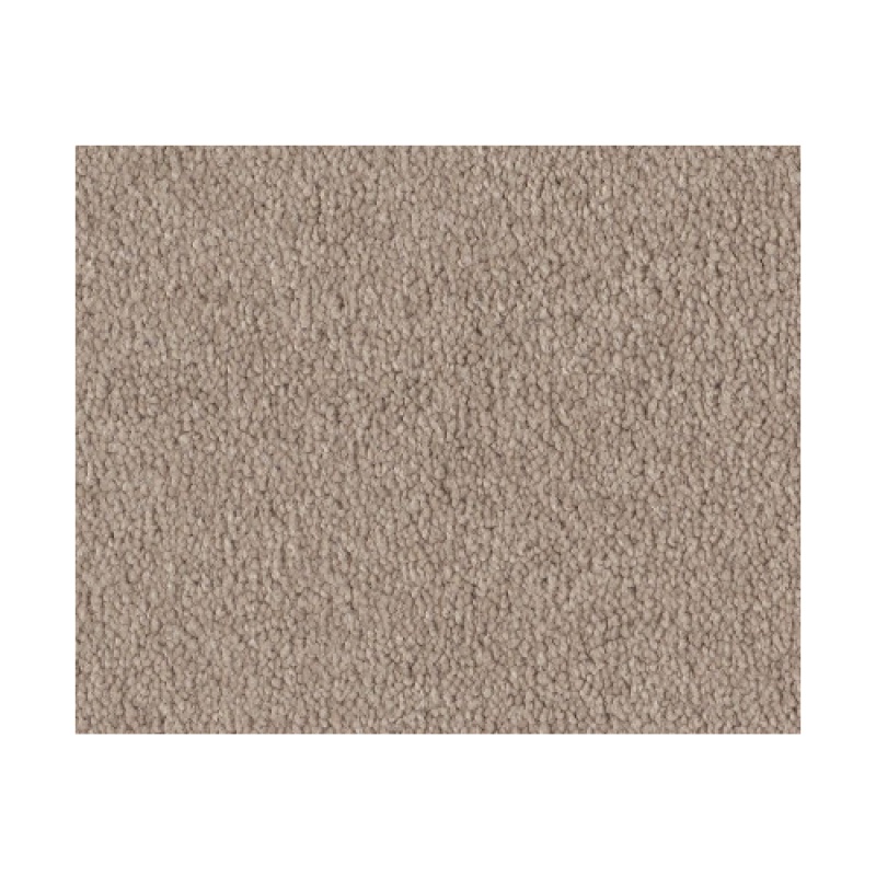 Bright Spirit I 12 Oatmeal Nylon Carpet - Textured