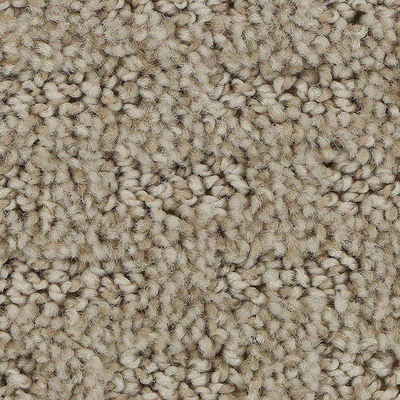 Stylish Tones Dignified Polyester Carpet - Pattern