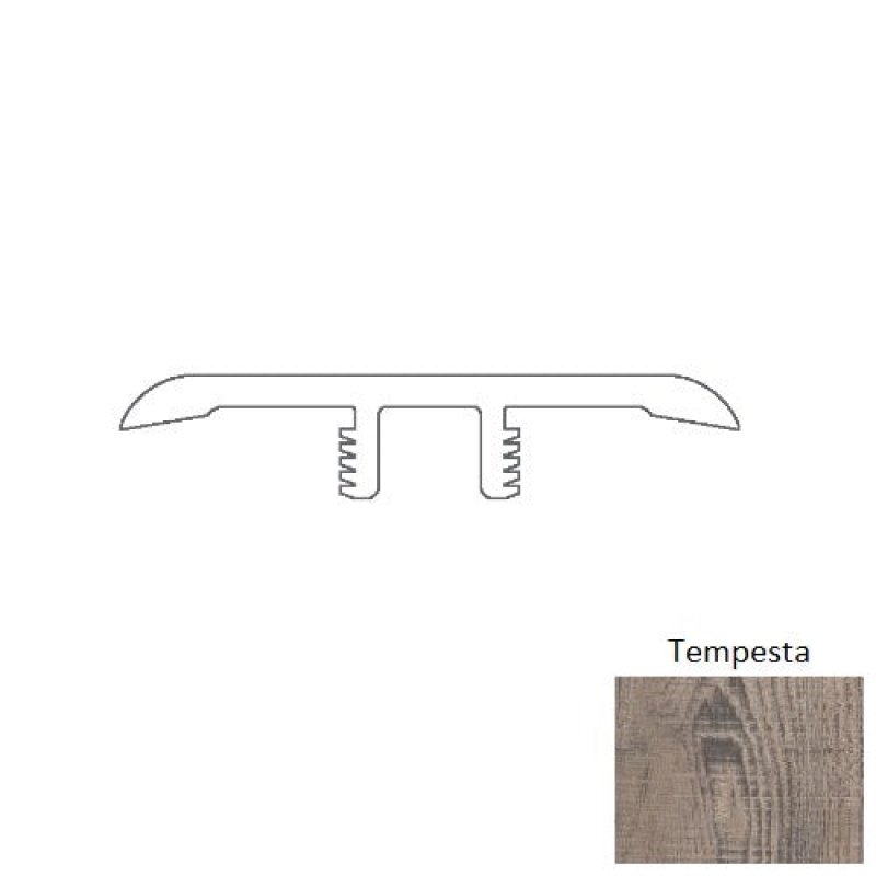 Pantheon HD Plus Tempesta T Molding with Track