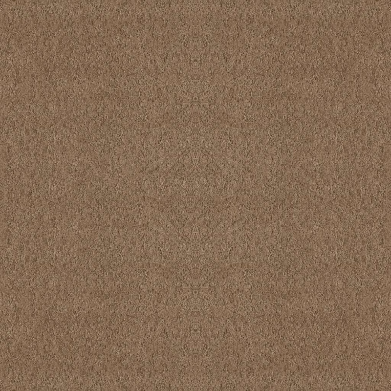 Foundations Alluring Canvas Raw Wood Nylon Carpet - Pattern
