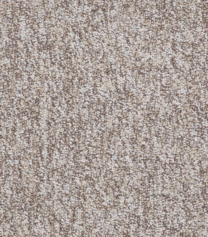 Philadelphia No Limits Tile Control Nylon Carpet Tile - Loop - 24" X 24"
