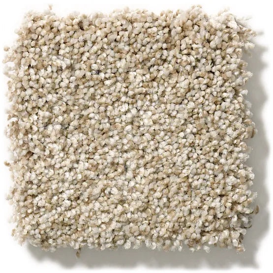 Pet Perfect The Bark Side Ii Pecan Nylon Carpet - Textured