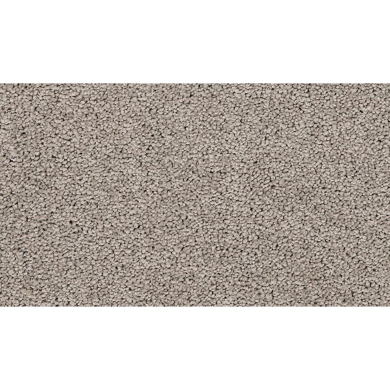 Coastal Fashion Ii Porpoise Nylon Carpet - Textured
