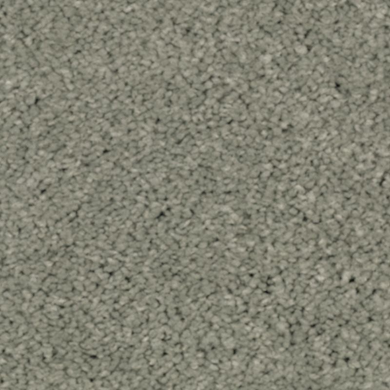 Natural Splendor Ii Garden Club Triexta Carpet - Textured