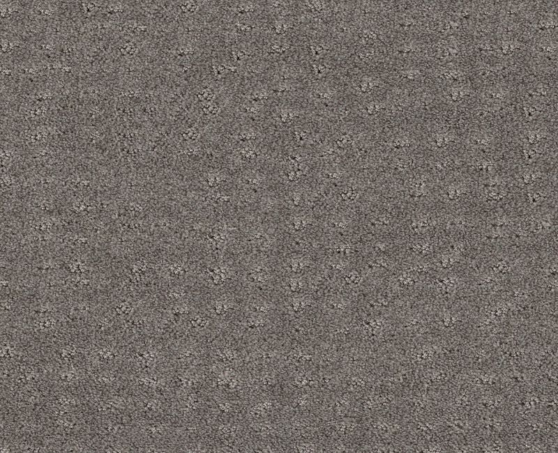 Latest Thing Grey Fox Nylon Carpet - Loop