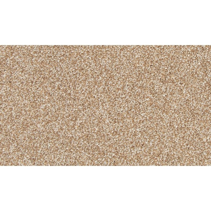 Refreshing Charm Charm Polyester Carpet - Textured