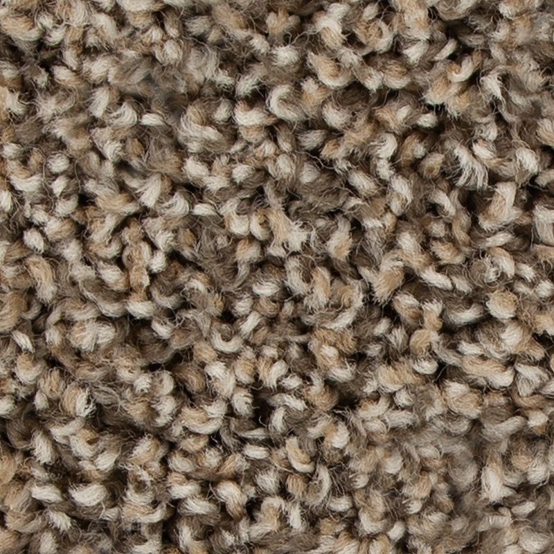 Color Fusion Ii Bridle Polyester Carpet - Textured
