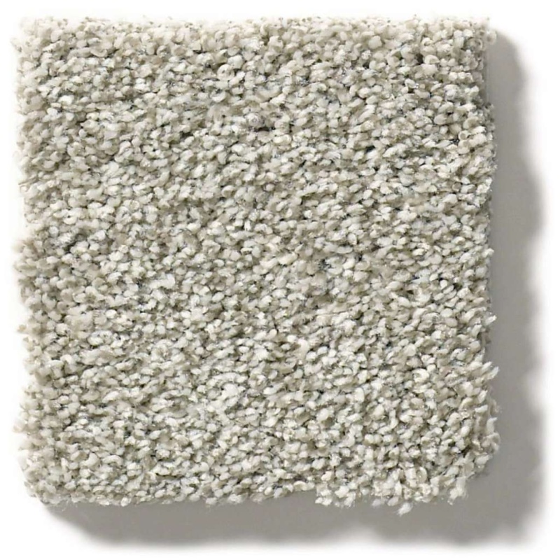 Pet Perfect Plus Just a Hint I Flax Polyester Carpet - Textured