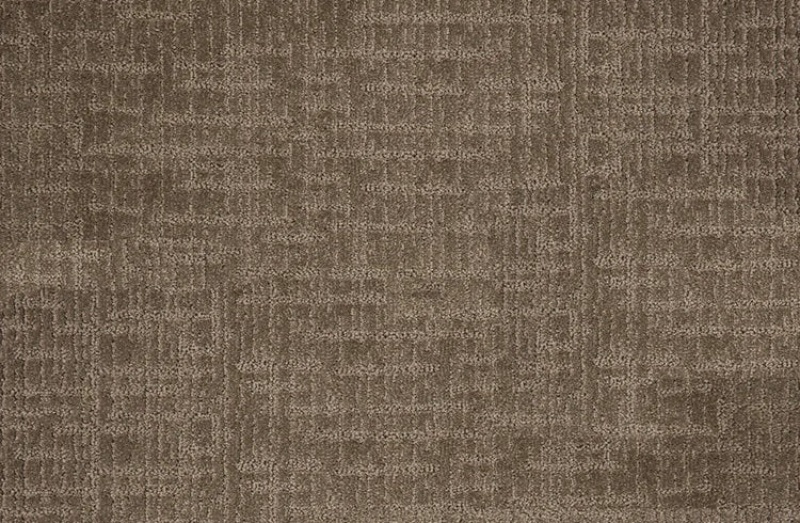 Pet Guard Alistair Putty Solution Dyed Polyes Carpet - Loop