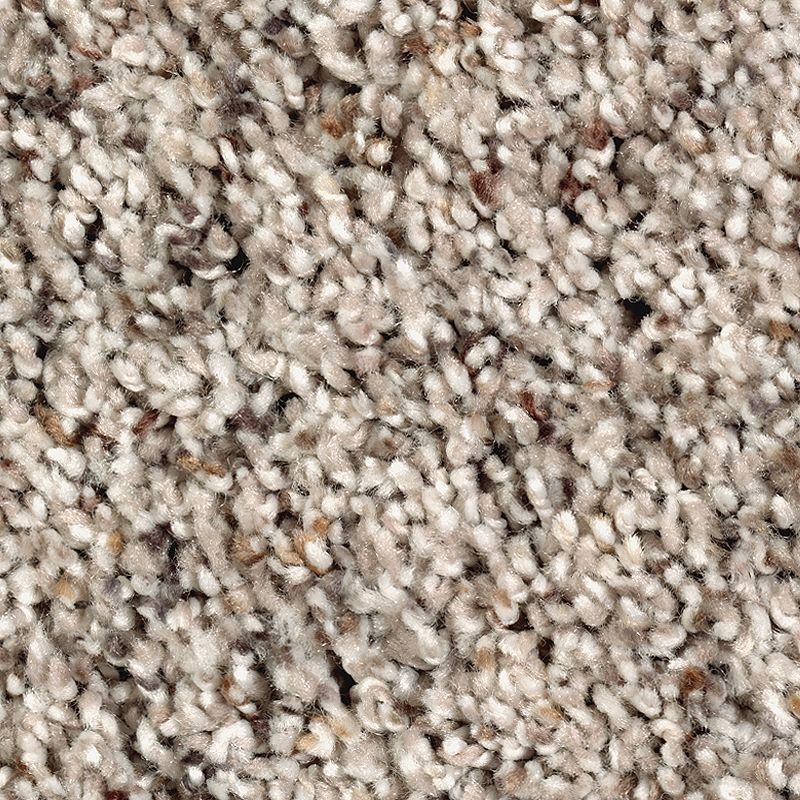 Fantastic Fabric Warm Stone Polyester Carpet - Textured