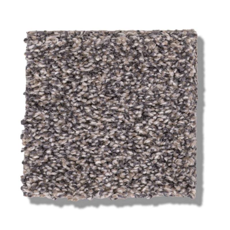 Pet Perfect Plus Calm Simplicity I Shoreline Polyester Carpet - Textured