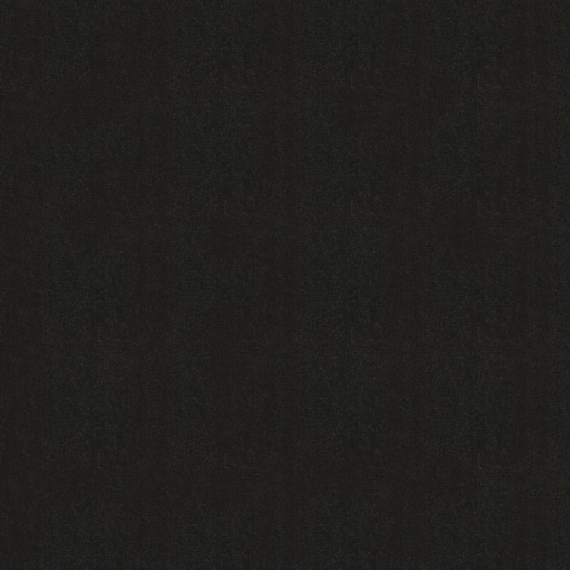 Emphatic Ii 30 Nightlife Nylon Carpet - Textured