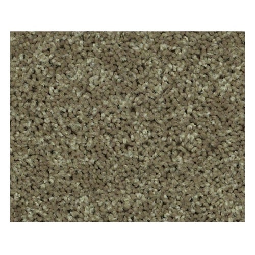 North Shore Ii Aloe Polyester Carpet - Textured