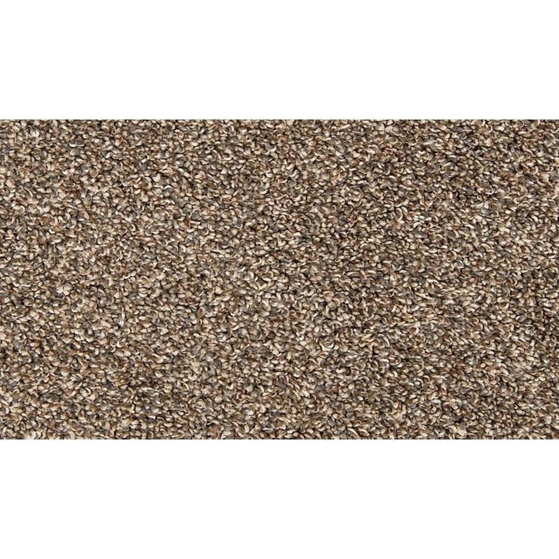 Color Classics I Scotch Mist Polyester Carpet - Textured