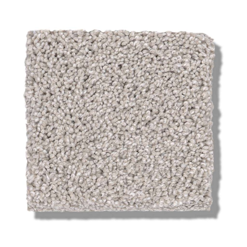 Caress By Shaw Cozy Harbor I Thoughtful Nylon Carpet - Textured