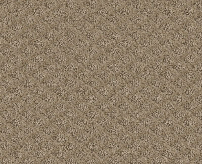 Nature's Own Mushroom Nylon Carpet