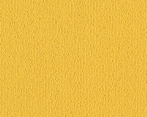 Color Accents Bl Citrus Nylon Carpet - Loop