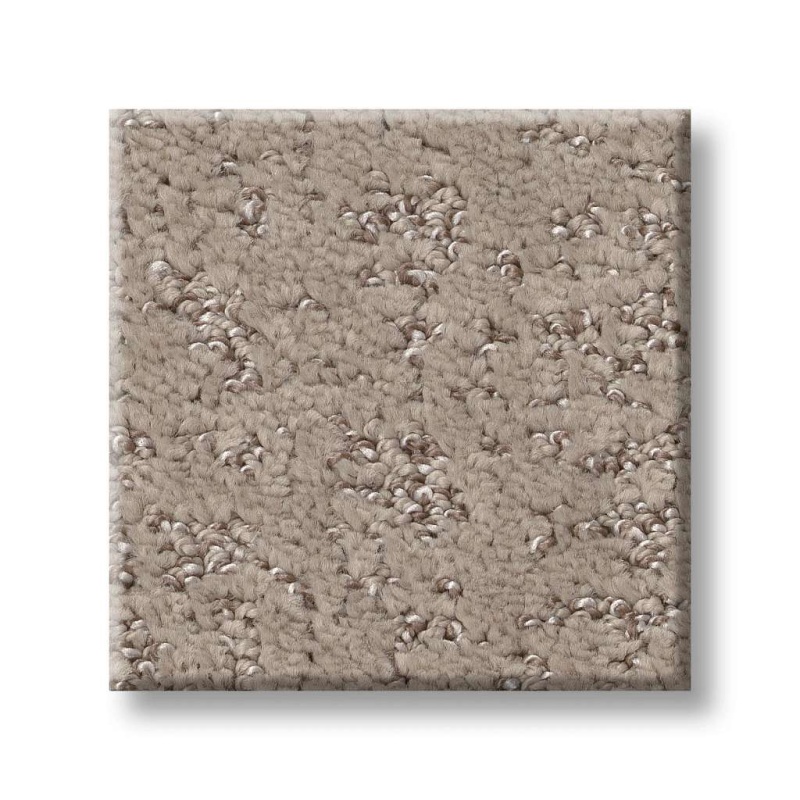 Pet Perfect Plus Home Within Chic Greige Polyester Carpet - Pattern