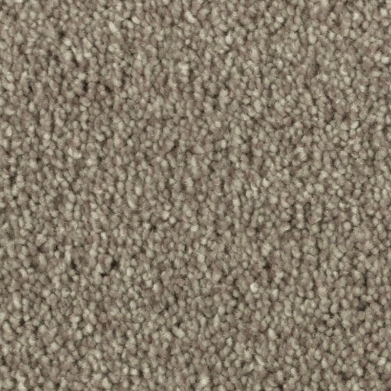Distinct Beauty Ii Beechnut Polyester Carpet - Textured