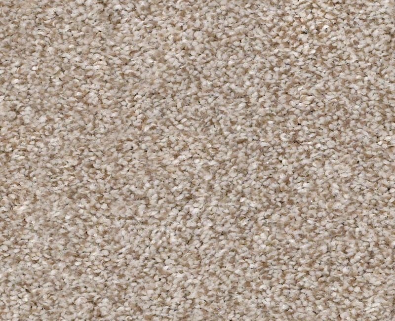 Mine To Keep I Grecian Tan Polyester Carpet - Textured
