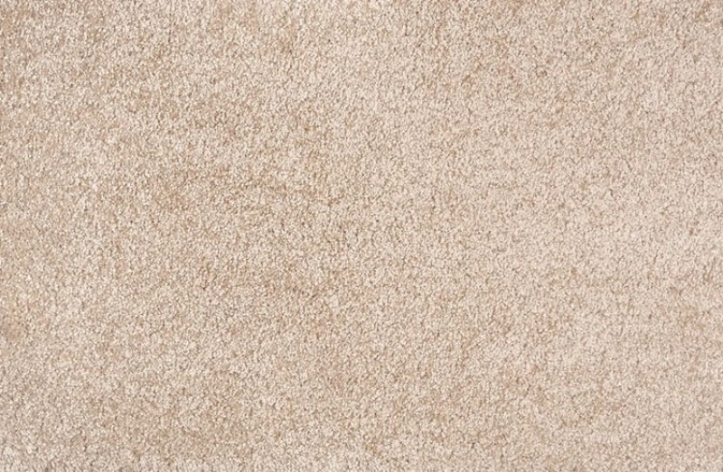 Stanton Pet Guard Noble Latte Loop Carpet