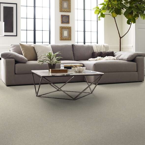 Soft Shades My Choice I China Pearl Nylon Carpet - Textured