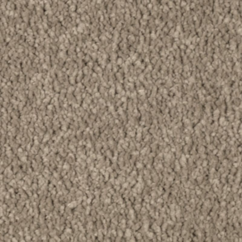Natural Splendor Ii Mushroom Cap Triexta Carpet - Textured