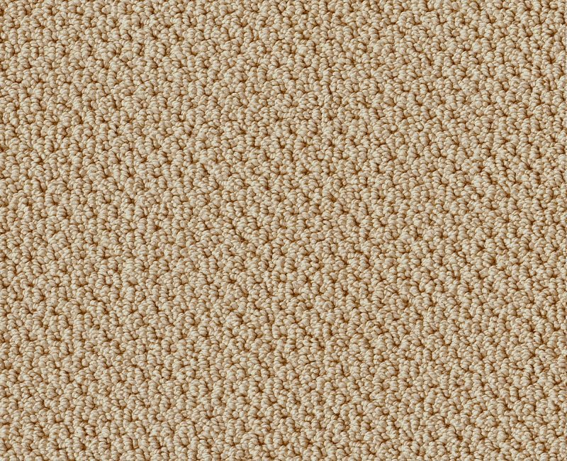 Playa Azul Ii Golden Rule Nylon Carpet - Loop