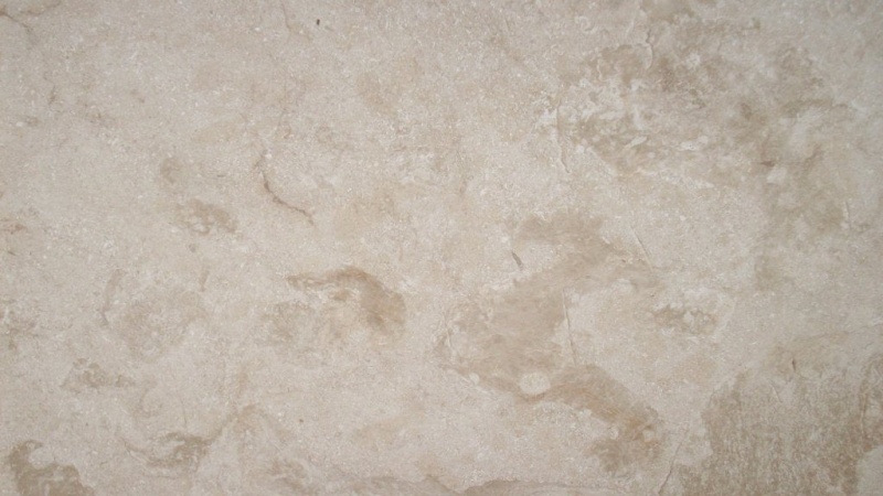 Carmi Fiorito Marble Tile - Polished