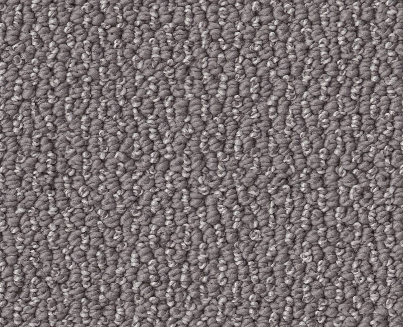 Devious Look Dolphin Textured Polyester Carpet