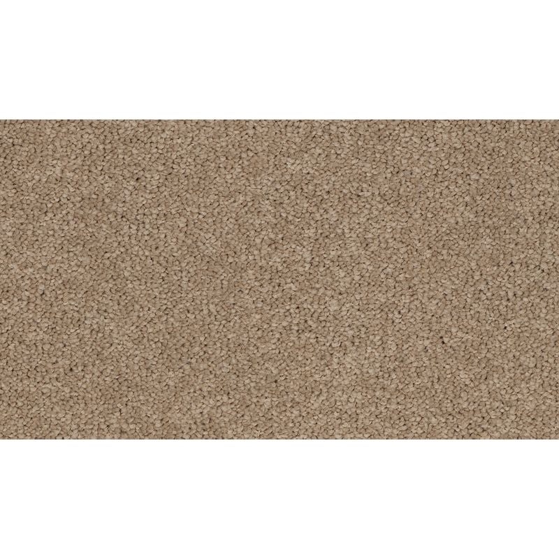 Coastal Fashion I Shoreline Nylon Carpet - Textured