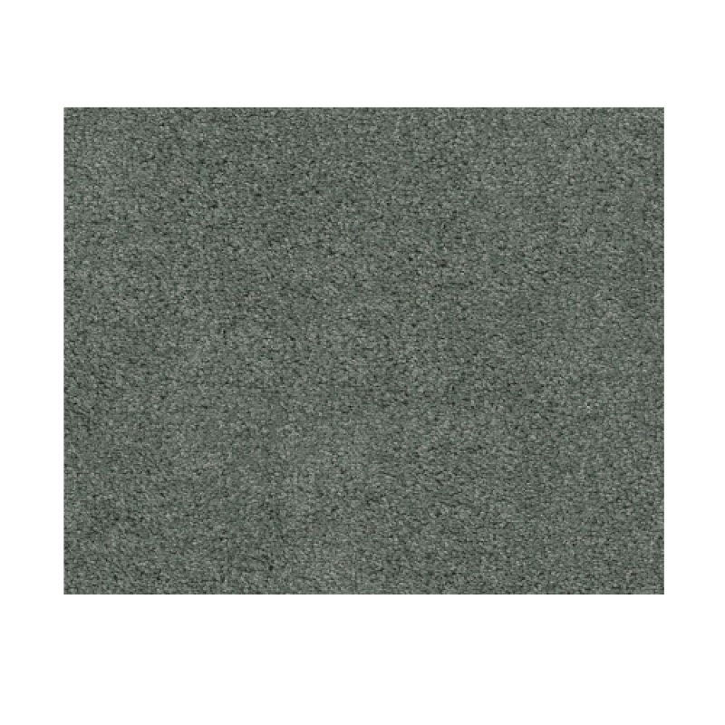 Dawning Refreshing Nylon Carpet - Textured