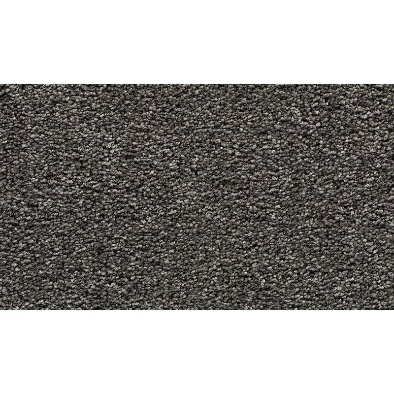 Bold Choice Quiet Alcove Polyester Carpet - Textured