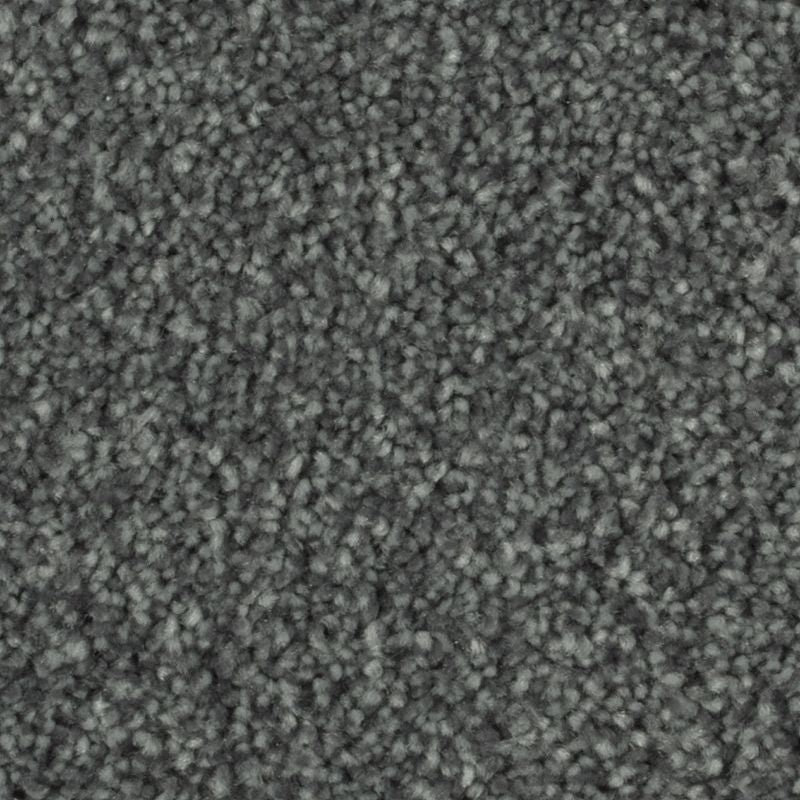 Distinct Beauty Ii Galactic Polyester Carpet - Textured
