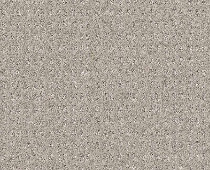 Now Or Never Fossil Path Nylon Carpet - Loop