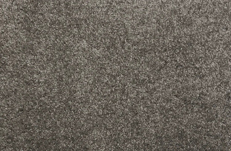 Pet Guard Henry Metal Solution Dyed Polyes Carpet - Plush