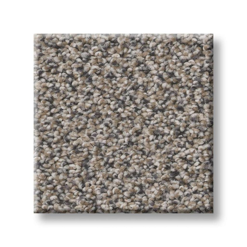 Simply The Best Values Truspirit I Concrete Polyester Carpet - Textured
