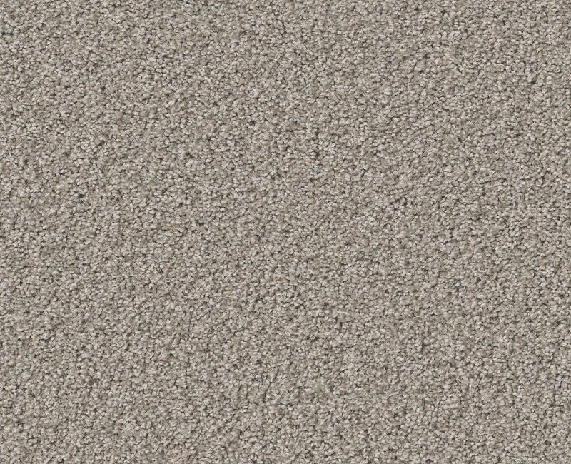 Inspire Me Ii Tempting Taupe Nylon Carpet - Textured
