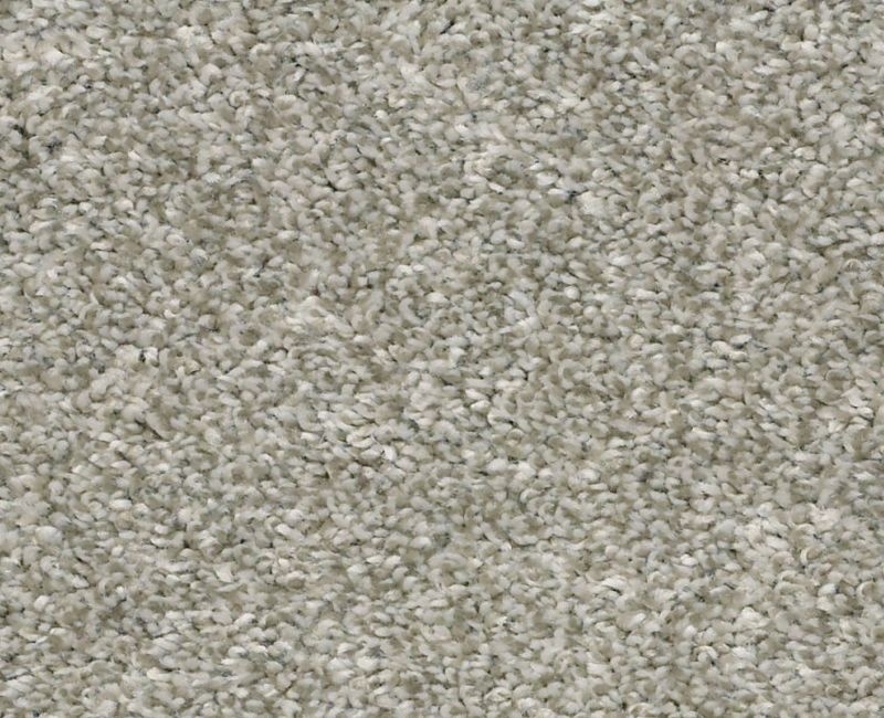 You Got It I London Fog Polyester Carpet - Textured