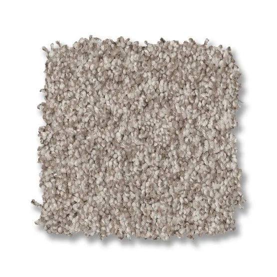 Bossa Nova Spun Cotton Nylon Carpet - Textured
